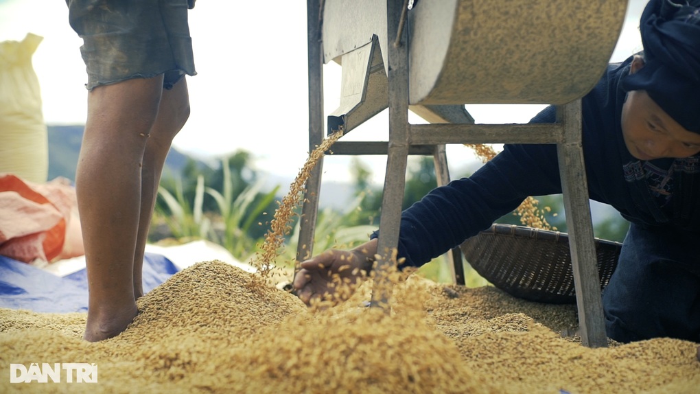 Mùa lúa chín Hoàng Su Phì - đã đi là không muốn về! - 8 Mùa lúa chín Hoàng Su Phì - đã đi là không muốn về! - 8