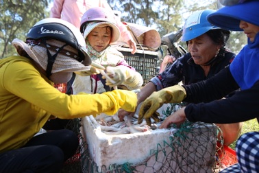 Ngư dân kiếm tiền triệu từ cá khoai những ngày cuối năm