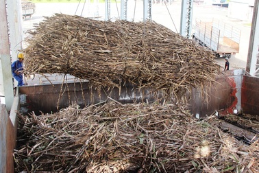 Gần 500 ha mía bị đốt trụi, hàng chục tỷ đồng ra tro