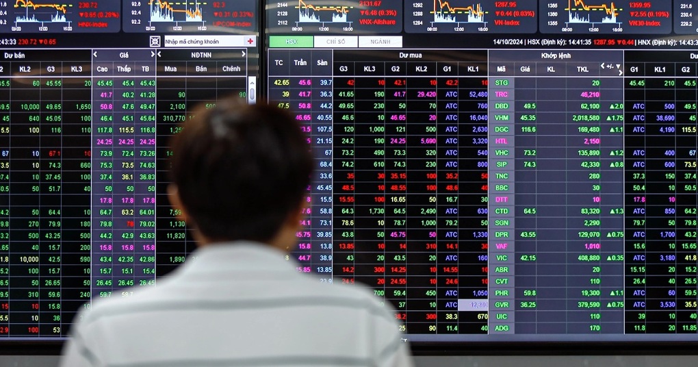 FTSE nâng hạng: Chuyên gia nước ngoài nói về cơ hội “săn” cổ phiếu - 2