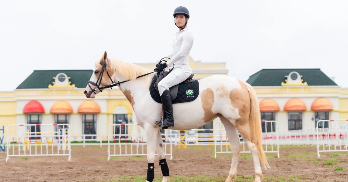 Sắp diễn ra giải cưỡi ngựa chuyên nghiệp đầu tiên tại Việt Nam - Vinpearl Equestrian Cup 2025