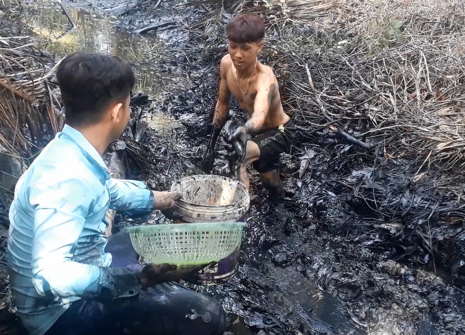 Háo hức tát ao, bắt cá ngày Tết - 6