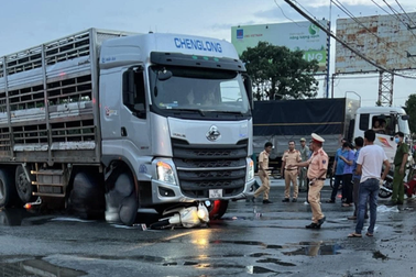 Đôi nam nữ tử nạn trước cổng khu công nghiệp Mỹ Phước 3