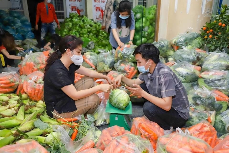 Nguyệt thảo mai Hà Hương trắng đêm giúp bà con Hải Dương 40 tấn nông sản - 3 Nguyệt thảo mai Hà Hương trắng đêm giúp bà con Hải Dương 40 tấn nông sản - 3