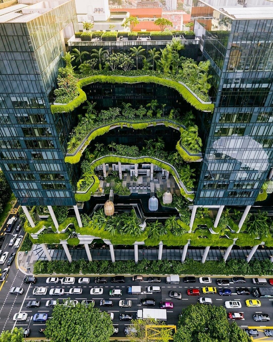 Vườn thẳng đứng phủ mát Singapore, Việt Nam thì sao? - 3 Vườn thẳng đứng phủ mát Singapore, Việt Nam thì sao? - 3
