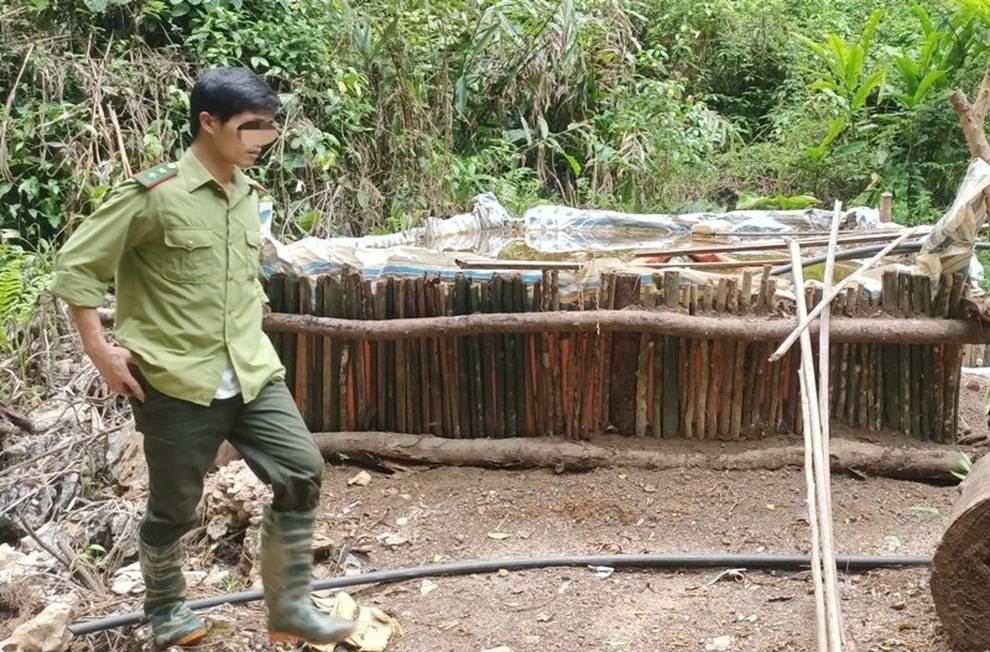 Hầm vàng nhiều tầng nằm cạnh khu bảo tồn thiên nhiên - 1 Hầm vàng nhiều tầng nằm cạnh khu bảo tồn thiên nhiên - 1