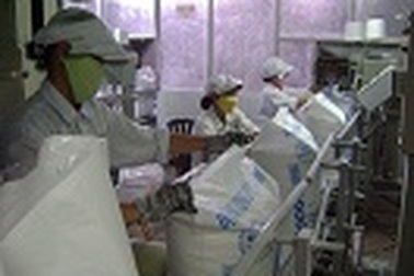 Vượt bão kinh tế, các doanh nghiệp chứng minh sức mạnh