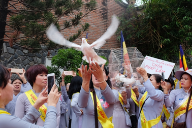 Đà Nẵng: Thả chim bồ câu nguyện cầu hòa bình trong Đại lễ Phật đản