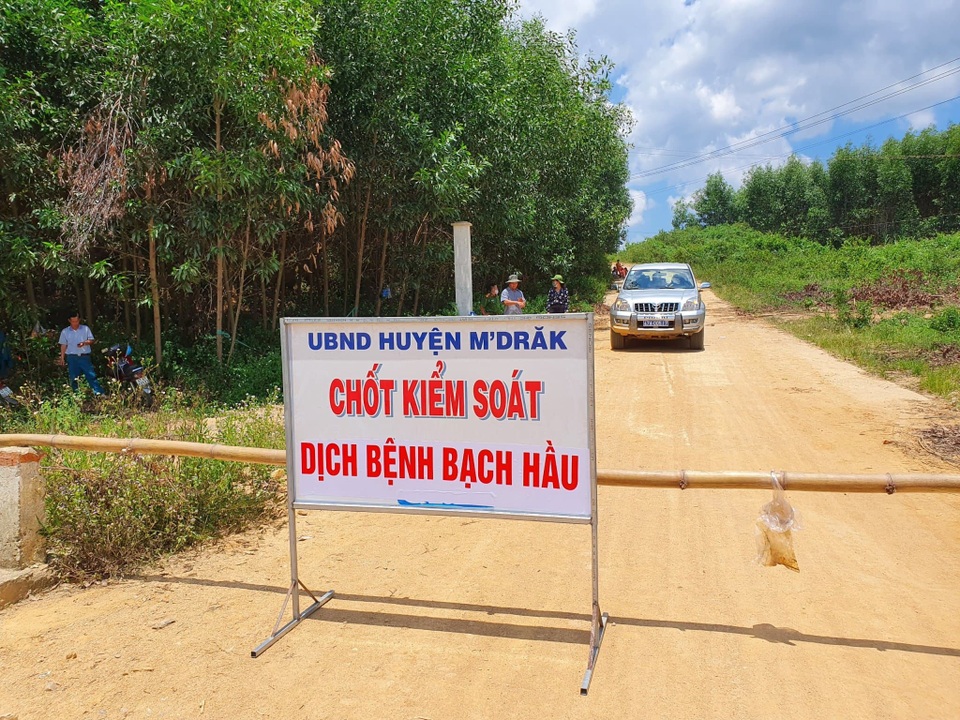 Đắk Lắk: Ghi nhận ca nhiễm bạch hầu thứ 28 - 1 Đắk Lắk: Ghi nhận ca nhiễm bạch hầu thứ 28 - 1