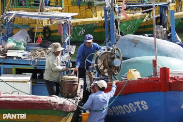 VAT làm khó doanh nghiệp, 5 hiệp hội lớn kiến nghị Quốc hội tháo gỡ