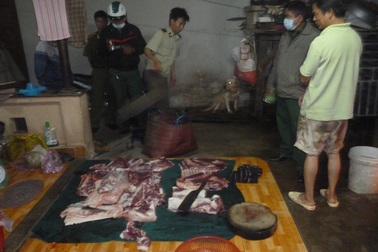 Chủ cơ sở giết mổ heo lậu “nhốt” Đoàn kiểm tra