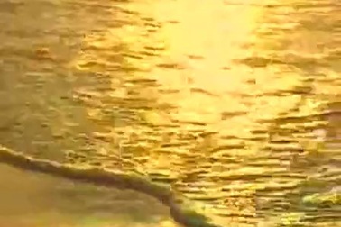 Ca khúc Thuyền và biển: biểu diễn NSƯT Quang Lý