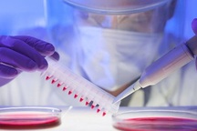 Thảm họa hạt nhân Fukushima thúc đẩy nhóm máu mới xuất hiện?