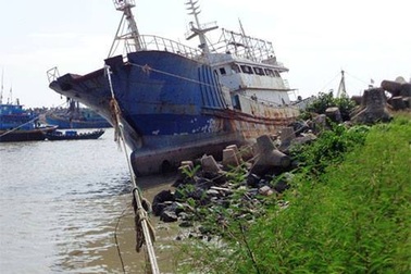 Bán đấu giá “tàu ma” được tìm thấy trên vùng biển Bình Thuận