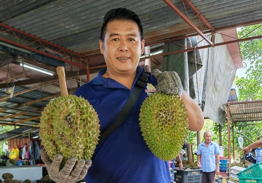 Xuất hiện giống sầu riêng mới gây sốt, giá đắt hơn cả Musang King - 1 Xuất hiện giống sầu riêng mới gây sốt, giá đắt hơn cả Musang King - 1