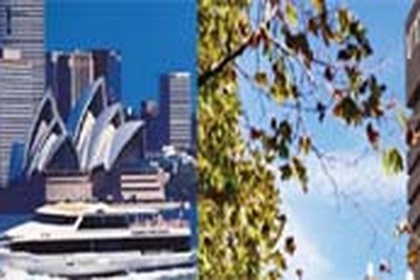 Học viên Insearch & Đại học công nghệ Sydney (UTS) phỏng vấn tuyển sinh