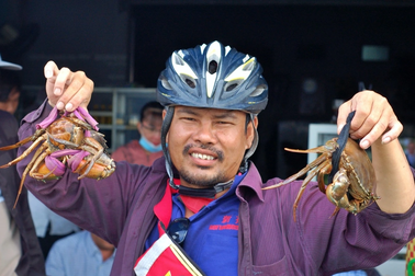 Độc lạ chợ "đấu giá" cua ở miền Tây