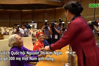 Cần đặc biệt quan tâm phụng dưỡng Bà mẹ Việt Nam anh hùng