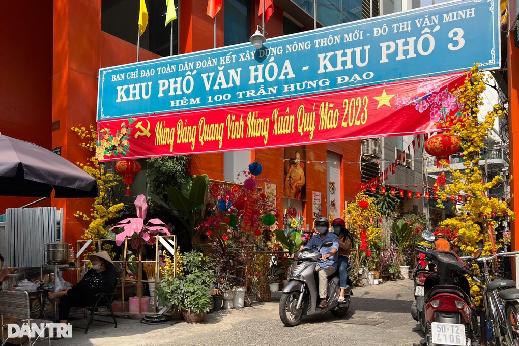 Bà con trong hẻm nhỏ góp tiền làm đường hoa đón xuân mới - 1 Bà con trong hẻm nhỏ góp tiền làm đường hoa đón xuân mới - 1
