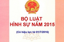 Đại biểu Quốc hội biểu quyết hoãn thi hành Bộ luật Hình sự mới