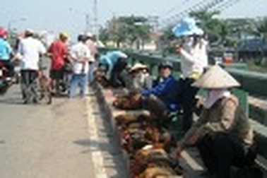 Bất tuân lệnh cấm, "chợ" gia cầm sống vẫn nhộn nhịp