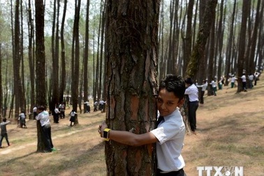Hơn 2.000 người dân Nepal ôm cây bảo vệ môi trường