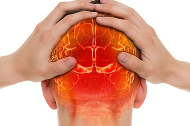 Con người thông minh nhờ đâu?