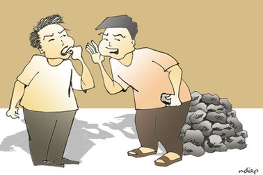 “Lời ong, tiếng ve” – Một tội phạm môi trường ít ai để ý!