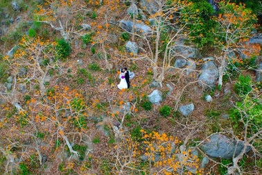 Ngắm bộ ảnh cưới đẹp nhất Hội An