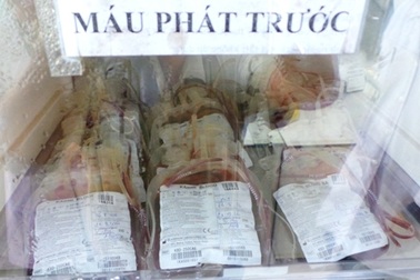 TPHCM: Nguy cơ thiếu tiểu cầu cục bộ vì dịch sốt xuất huyết