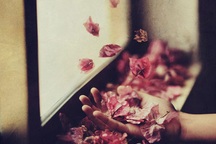 Nhật ký Radio số 11: Tạm biệt nhé, ngày hôm qua