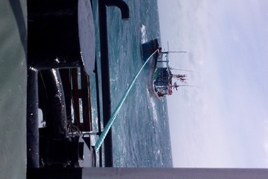 Cứu 11 thuyền viên hoảng loạn sau một đêm gặp nạn trên biển