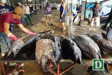“Sản phẩm xuất khẩu thủy sản phải chiến lược, có giá trị cao”