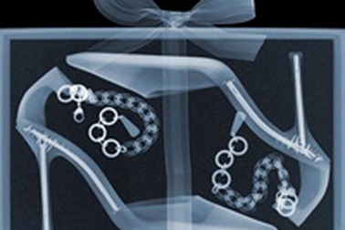 Những kiệt tác ảnh từ tia X-quang