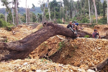 Điều tra vụ 2 phóng viên bị cướp khi đi tác nghiệp