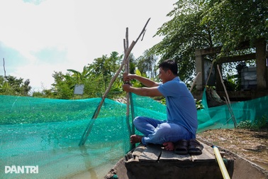 Biến cánh đồng thẳng cánh cò bay thành ao nhà để nuôi sản vật trời ban