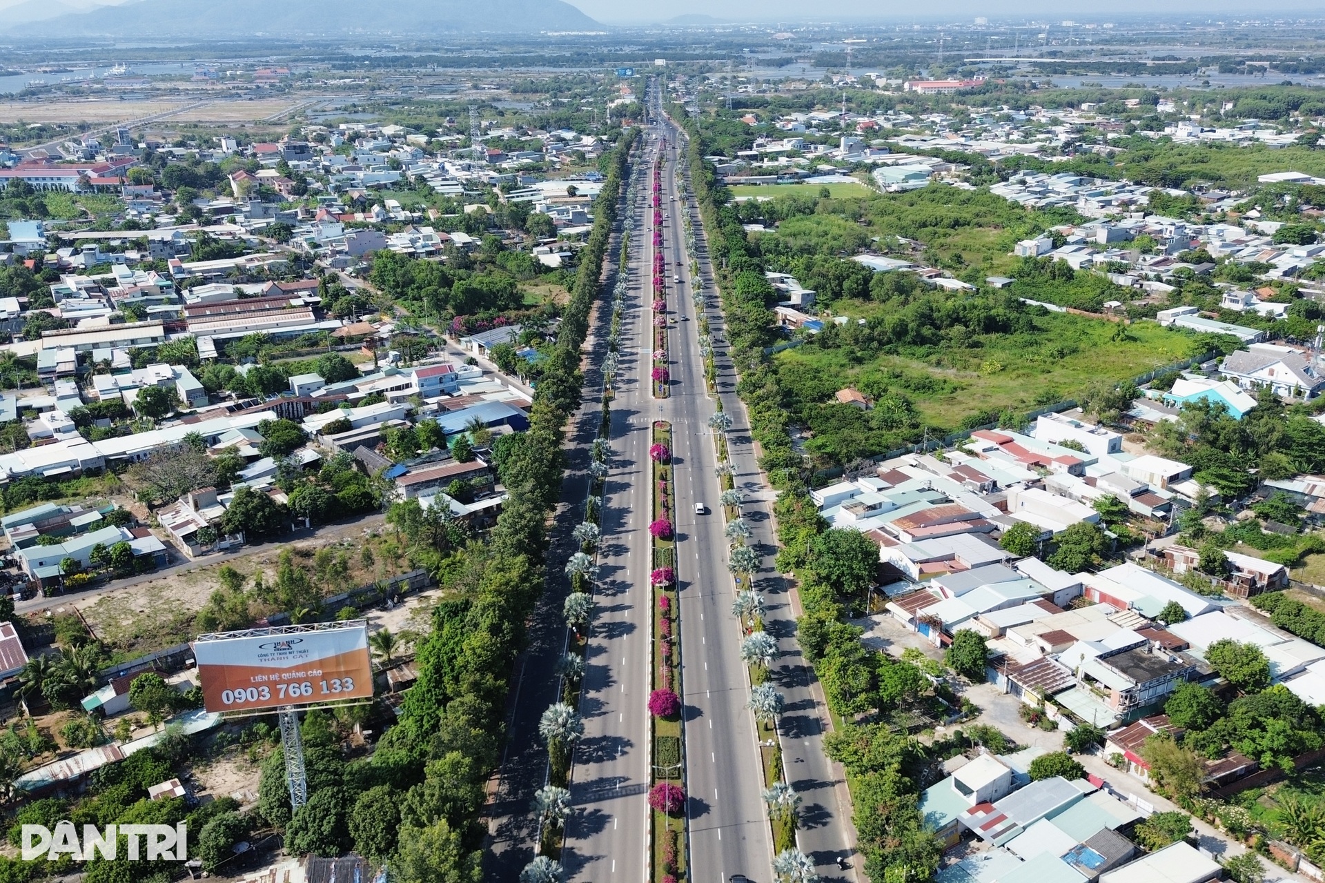 Hoa giấy nhuộm hồng tuyến đường ra biển ở TPHCM - 2 Hoa giấy nhuộm hồng tuyến đường ra biển ở TPHCM - 2