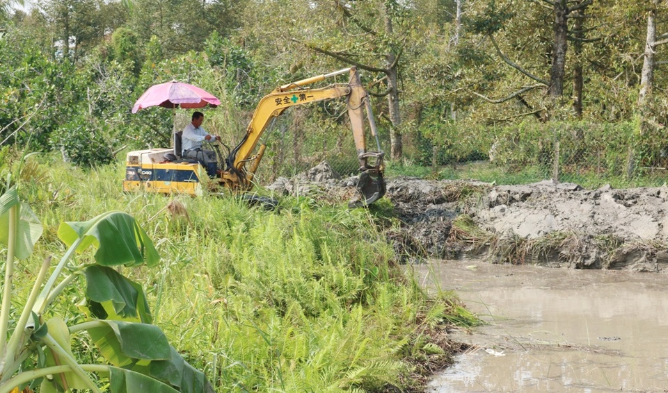 Hạn mặn khốc liệt, tìm cách cứu vườn sầu riêng của người dân - 8 Hạn mặn khốc liệt, tìm cách cứu vườn sầu riêng của người dân - 8