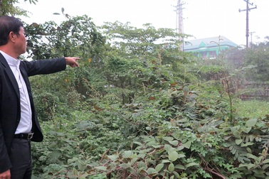 Vụ có phán quyết của tòa, HĐND vẫn ra Nghị quyết thu hồi đất: Thực hiện đúng luật?