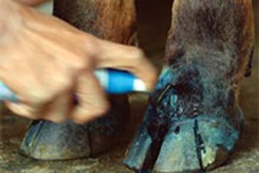 Dịch lây lan không thể kiểm soát