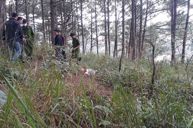 Người đàn ông chết trên đồi thông cạnh chai thuốc trừ sâu