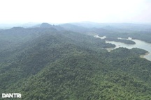 Chi trả gần 118 tỷ đồng tiền bán "hơi thở của rừng"