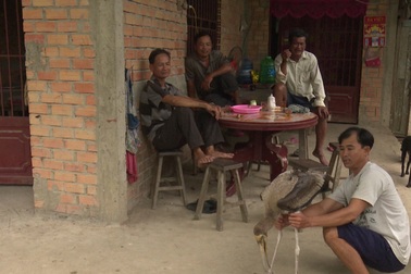 Người dân bắt được chim quý nằm trong Sách Đỏ Việt Nam