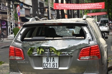 Cây xanh gãy nhánh đè 2 ô tô