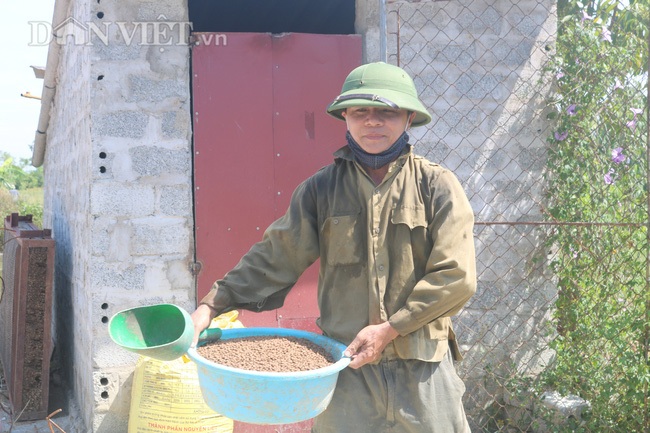 Nuôi cá chép lai thâm canh, nông dân Thanh Hóa lời 150 triệu đồng/ha - 8 Nuôi cá chép lai thâm canh, nông dân Thanh Hóa lời 150 triệu đồng/ha - 8