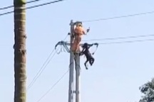 Nhân viên điện lực bị điện giật tử vong