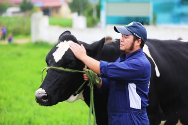 Hoa hậu Bò Sữa 2018: 15 năm tôn vinh người nông dân và đàn bò