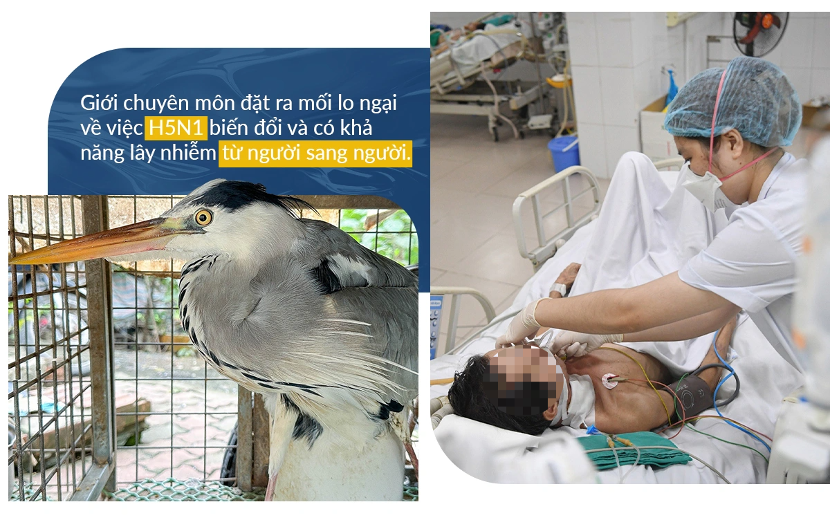 Mầm họa từ bầu trời khiến nửa số bệnh nhân tử vong - 19 Mầm họa từ bầu trời khiến nửa số bệnh nhân tử vong - 19
