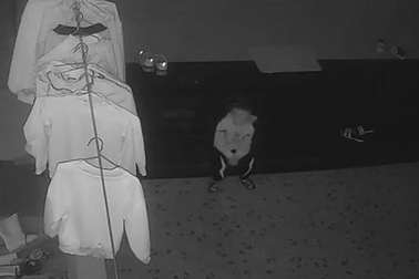 Mẹ rời con 3 tuổi lên Hà Nội bán xôi, 7 năm dạy con học online mỗi tối