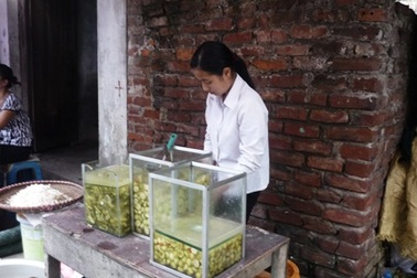 Ngoại lục tuần kiếm hàng chục triệu/tháng nhờ cà muối